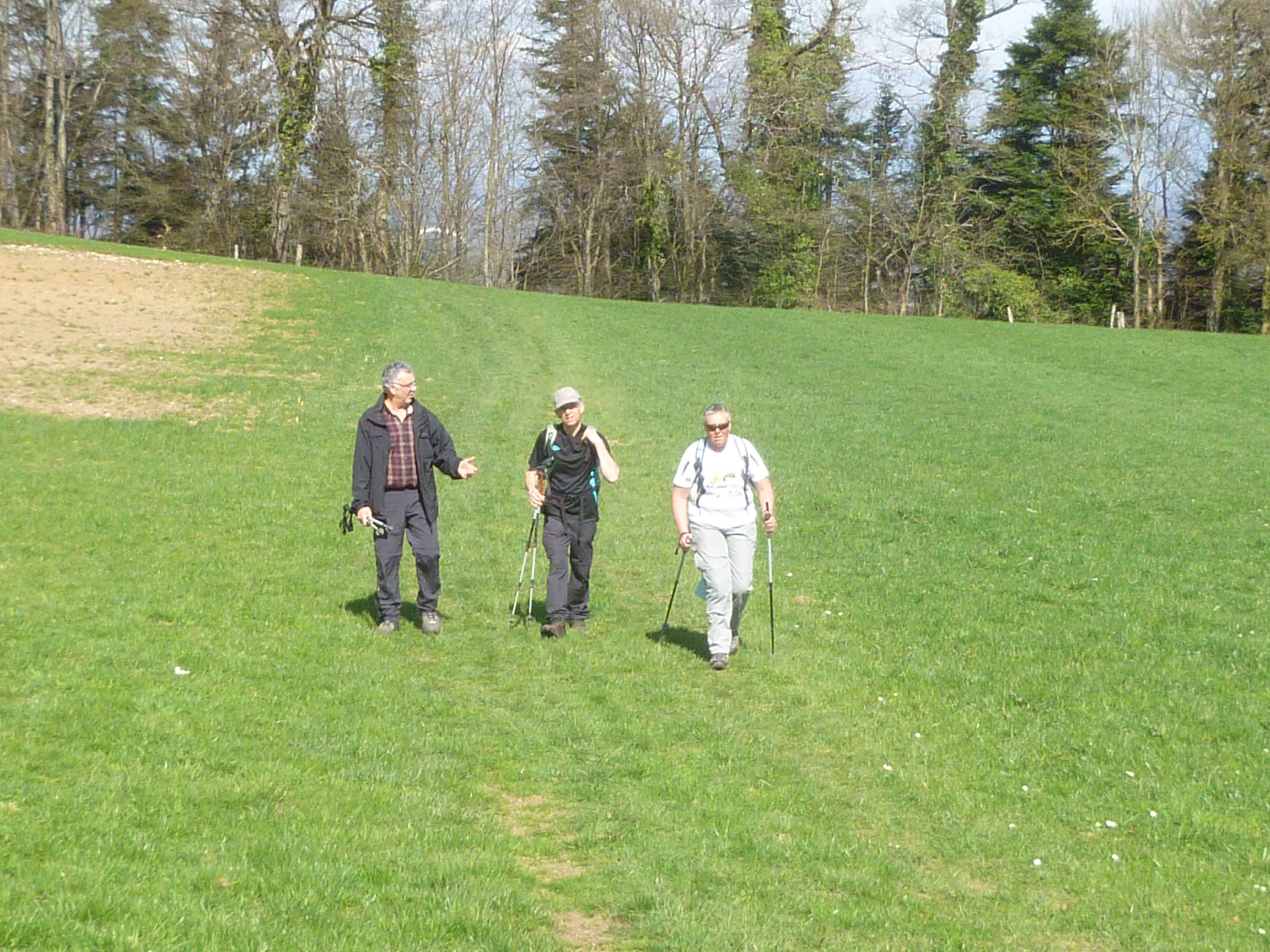 10 2015-04-12 Oberlarg MorimontPG (19)