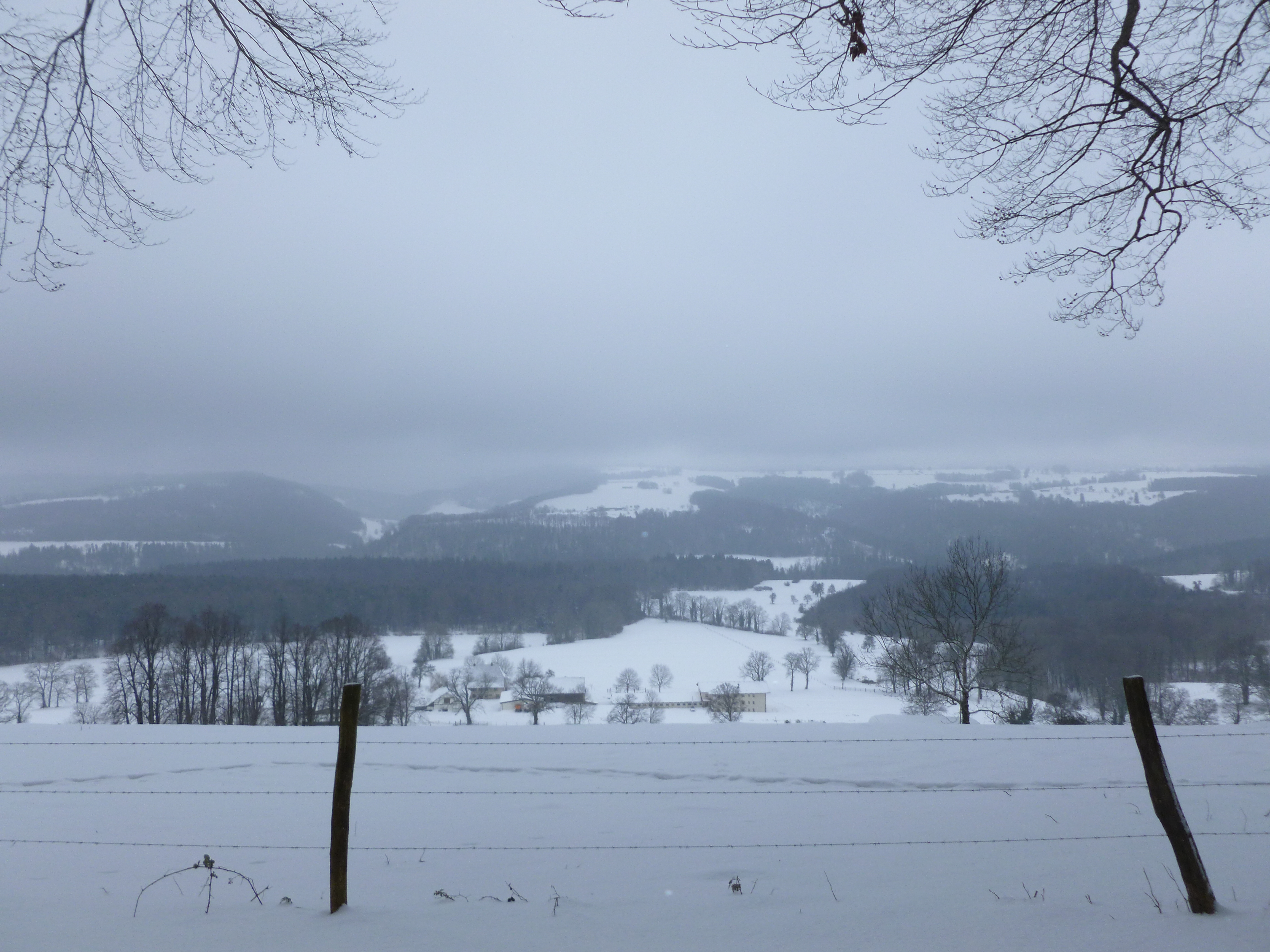 3 2015-02-08raquettes WinckelJPG (6)