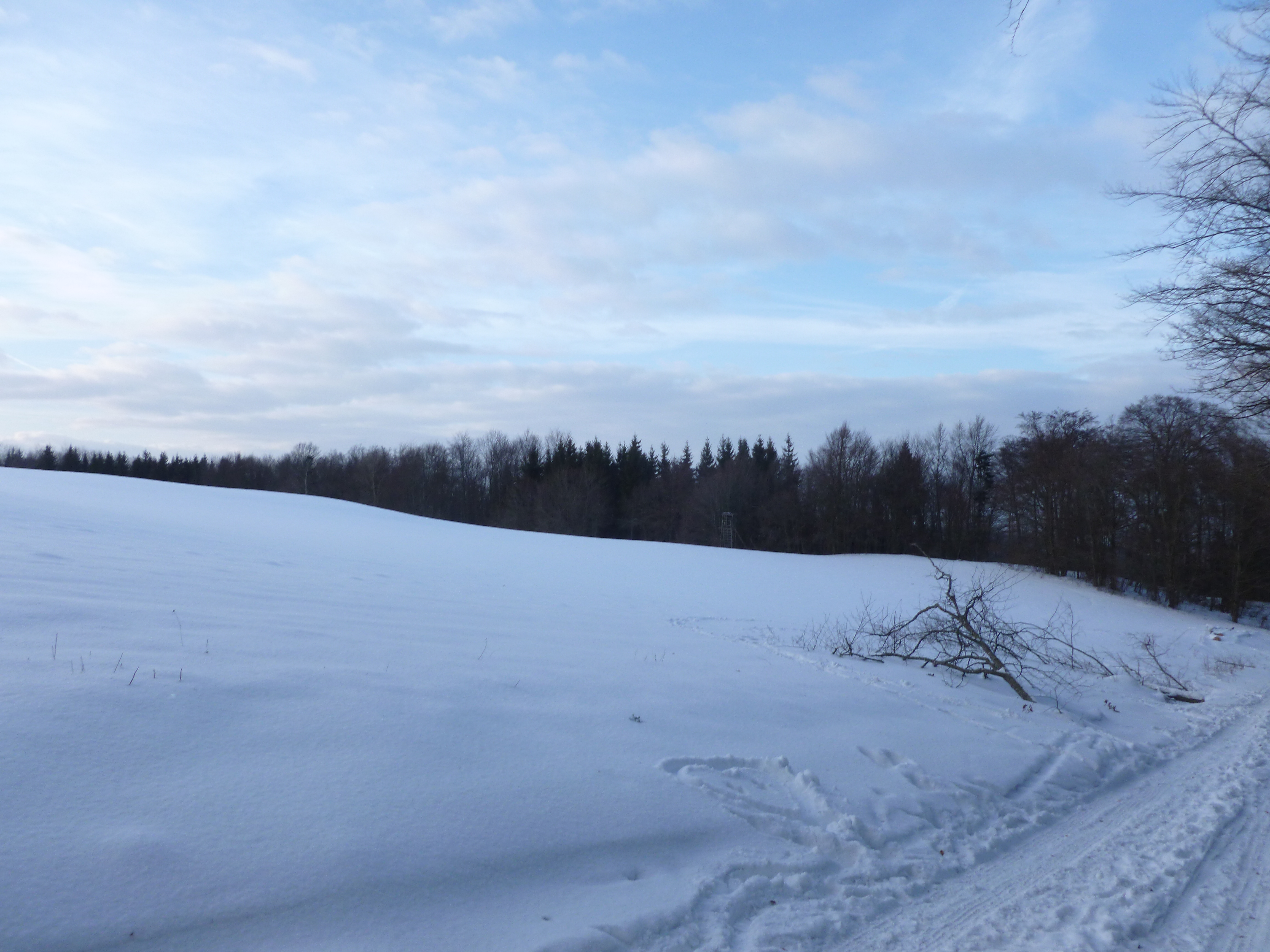 7 2015-02-08raquettes WinckelJPG (12)