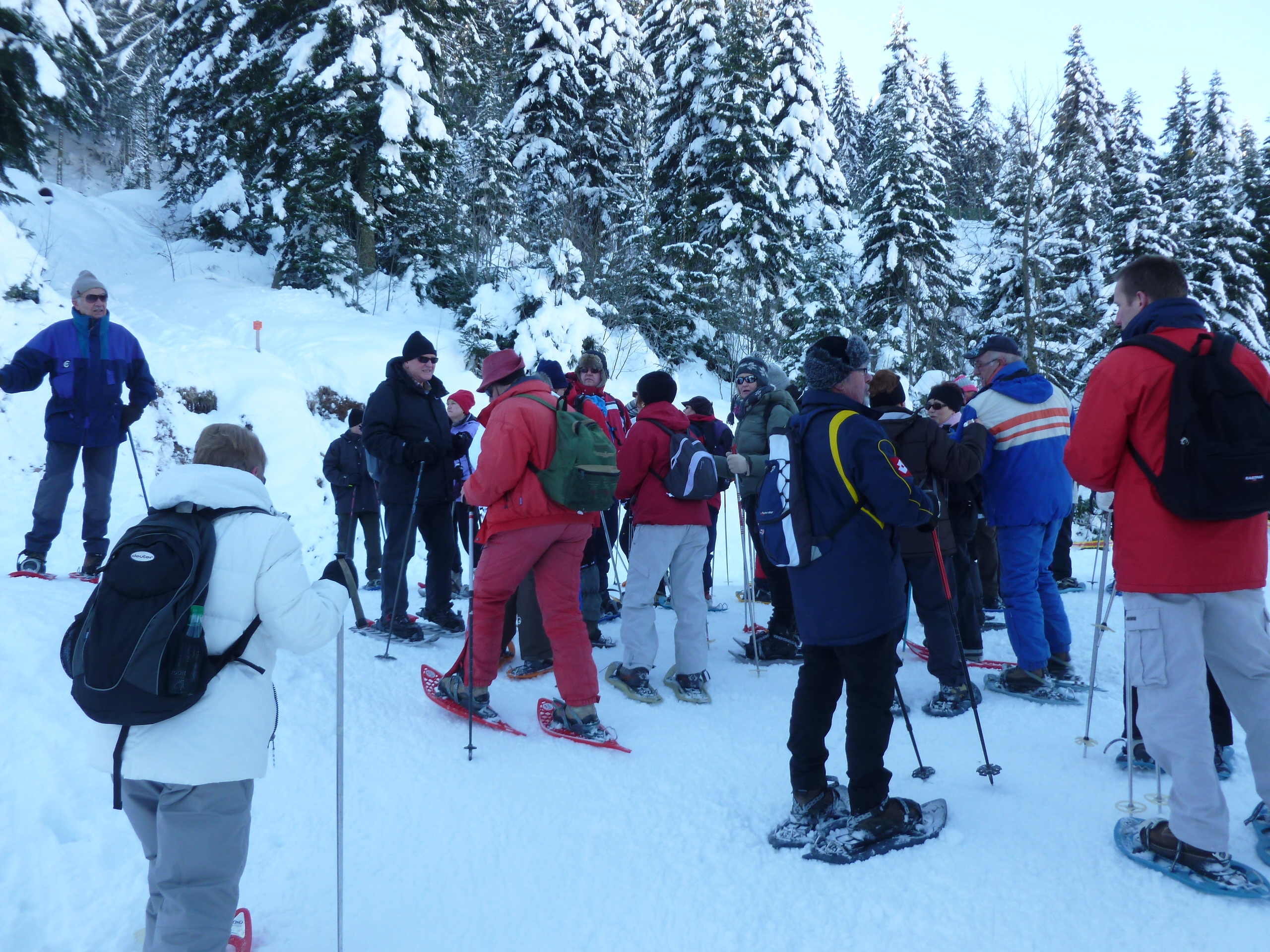 grardmer 17fv 2013 (10)